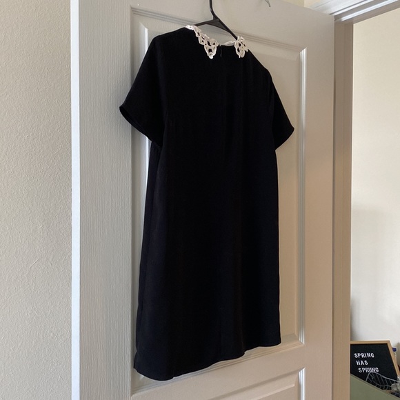 F21 Black Crochet Lace Collar Mini Dress - Picture 3 of 4